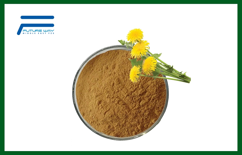 Dandelion Extract