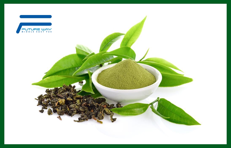 Green Tea Theanine