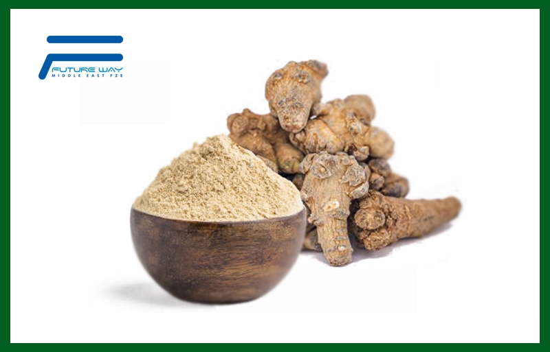 Panax Notoginseng Extract
