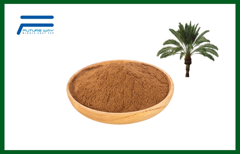 Saw Palmetto Berry Extract