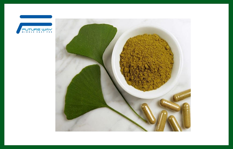 Ginkgo Biloba Extract