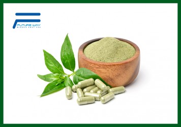 Andrographis extract powder
