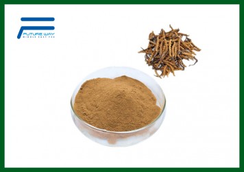 Cordyceps Sinensis Extract