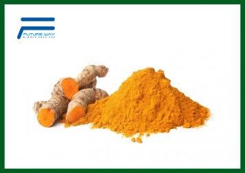 Curcuma Longa Curcumin