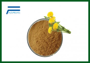 Dandelion Extract