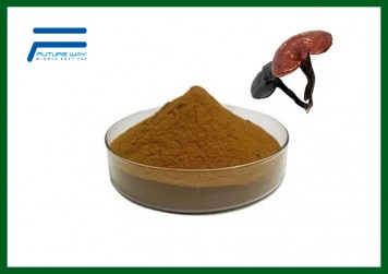 Ganoderma Lucidinm Extract