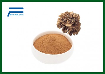 Grifola Frondosa Extract