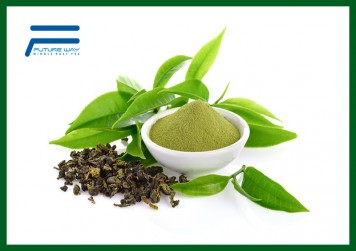 Green Tea Theanine