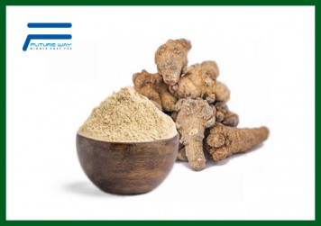 Panax Notoginseng Extract