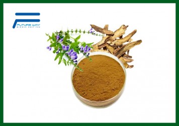 Scutellaria baicalensis extract