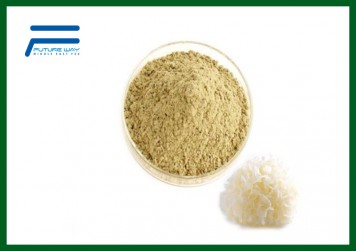 Tremella Fuciformis Extract