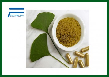 Ginkgo Biloba Extract