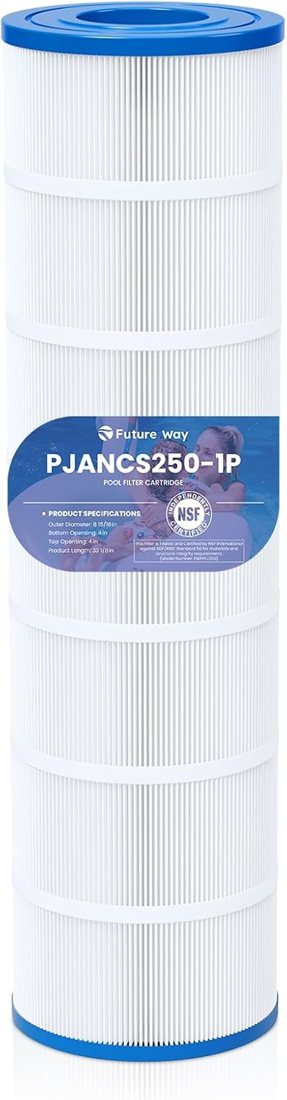 Future Way CS250 cartridge — Jandy CS series