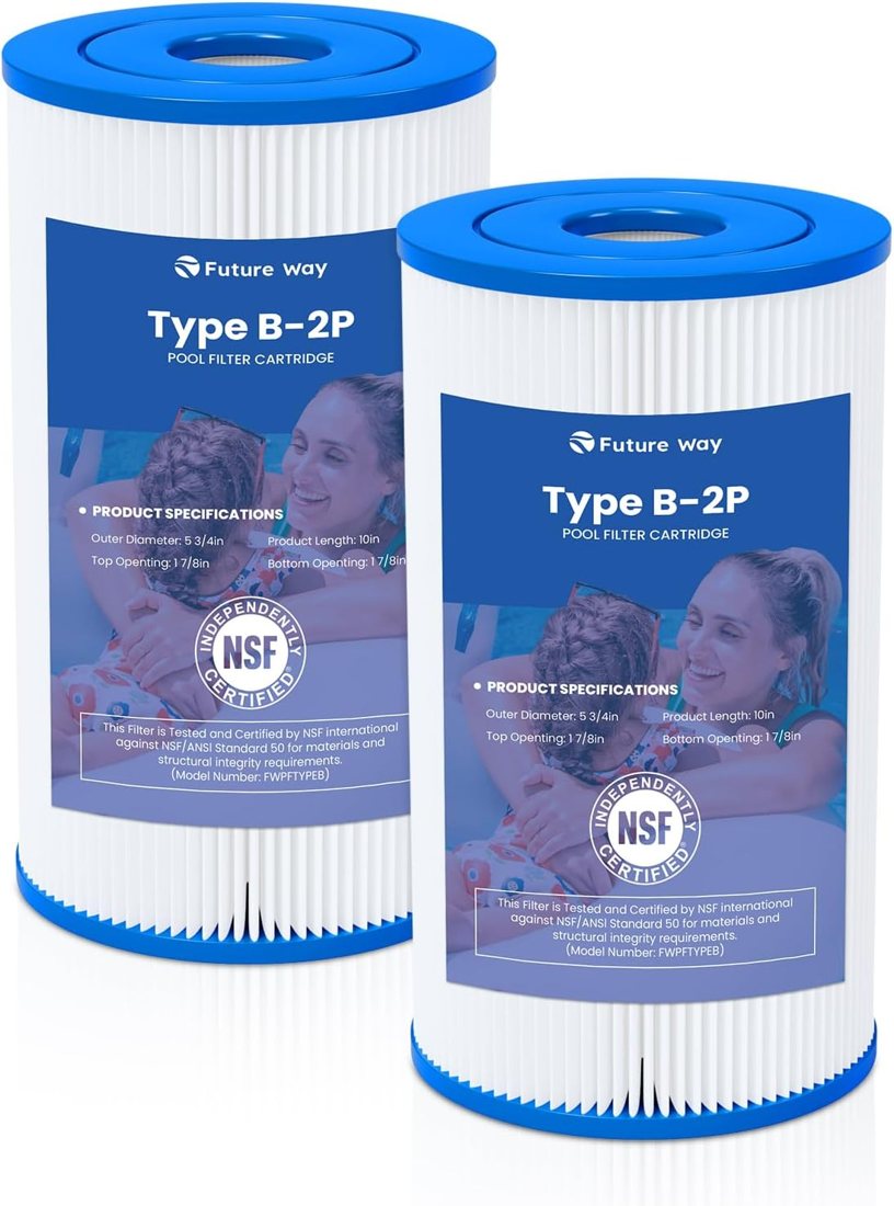 Future Way Type B cartridge — Intex Krystal Clear