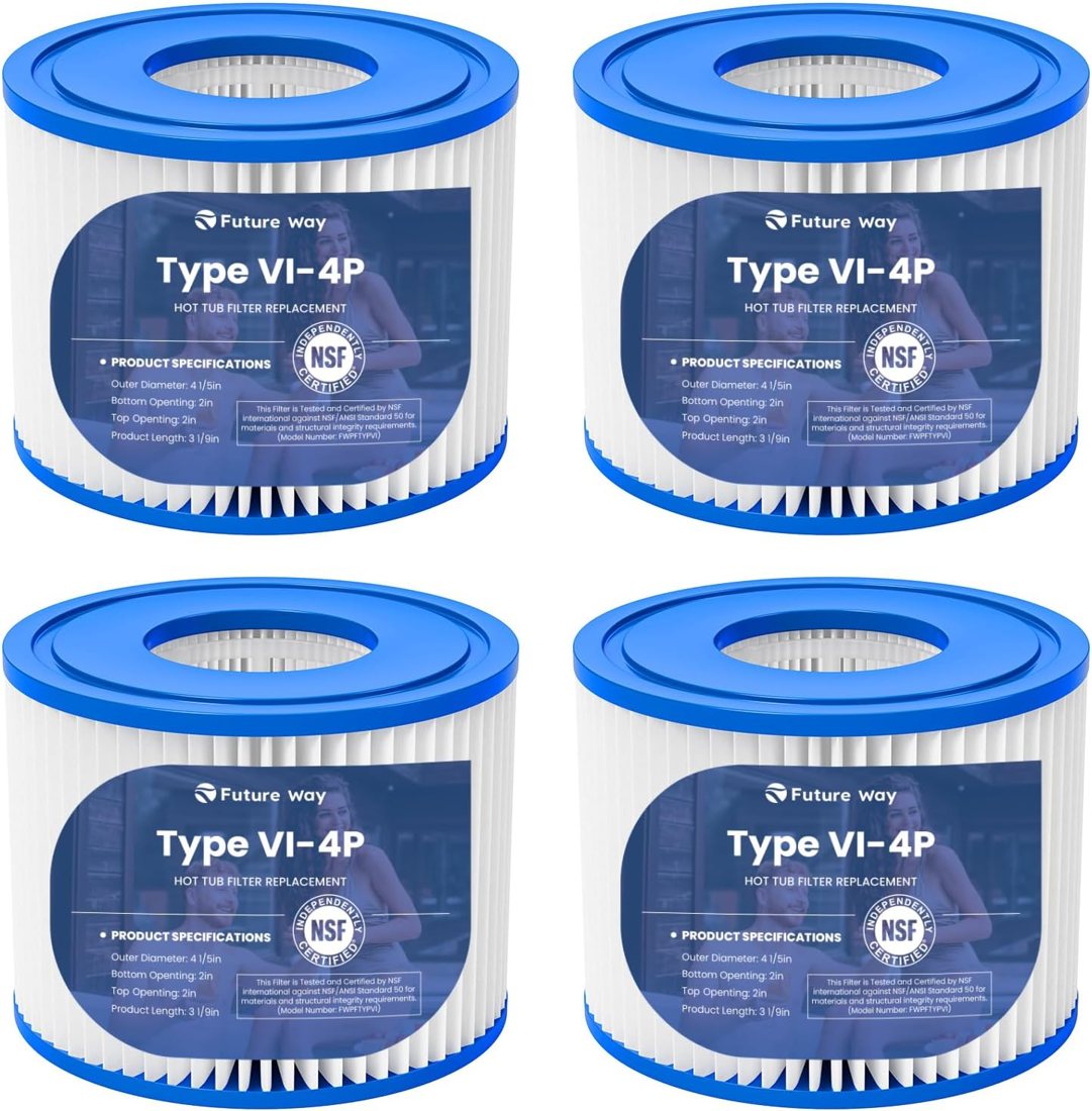 Future Way Type VI filter — inflatable hot tubs